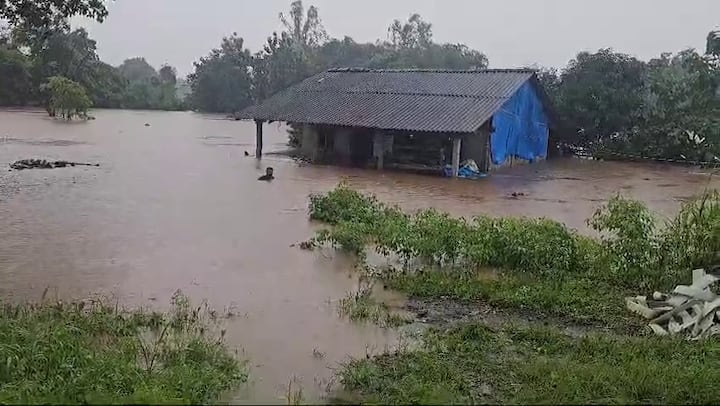 Gujarat Rain Alert: હવામાન વિભાગે રાજ્યમાં આગામી પાંચ દિવસ ભારેથી અતિભારે વરસાદની આગાહી કરી છે.