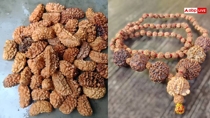 रुद्राक्ष(Rudraksha) का प्रयोग बुरी शक्तियों से दूर रहने के लिए किया जाता है, जबकि भद्राक्ष(Bhadraksha) का प्रयोग आमतौर पर आभूषणों के निर्माण के लिए किया जाता है.