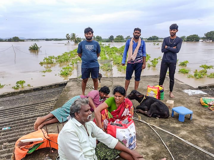 People wait on the roof of a house for evacuation from a flood-affected area following heavy rainfall, in Vijayawada, Monday, Sept. 2, 2024. (Image Source: PTI)