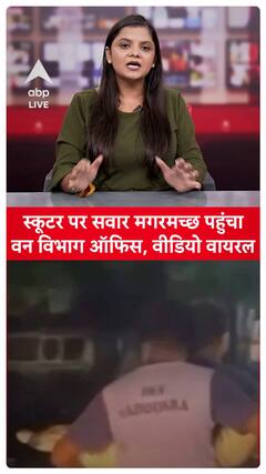 Gujarat Viral Video: Crocodile Arrives at Forest Department Office on Scooter, Video Goes Viral | ABP LIVE