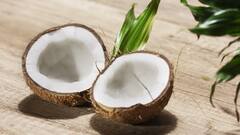 World Coconut Day: 5 Interesting Facts About This Fruit That Will Fascinate You