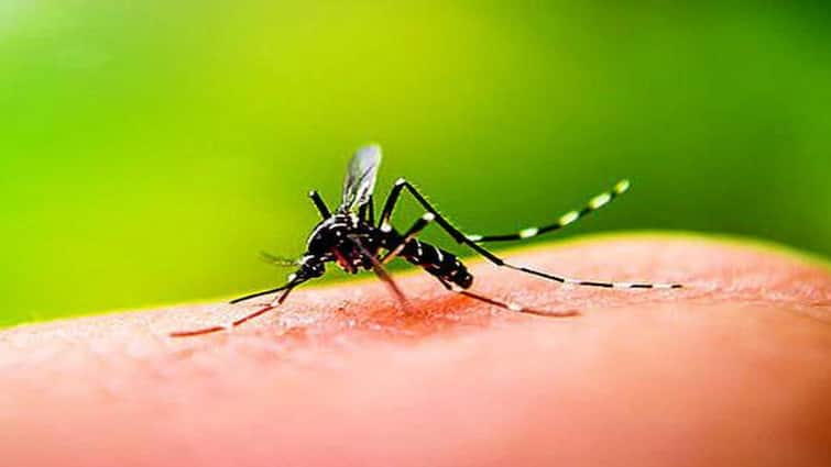 more than 11 thousand people affect dengue fever tamilnadu know full details here Dengue: தமிழ்நாட்டை அச்சுறுத்தும் டெங்கு! ஒரே ஆண்டில் 11 ஆயிரம் பேருக்கு பாதிப்பு! 4 பேர் மரணம்!