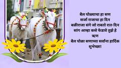 Bail Pola 2024 Wishes In Marathi : बैलपोळ्याच्या शेतकरी बांधवाला द्या खास शुभेच्छा; करा सर्जाराजाला नमन, पाठवा 'हे' शुभेच्छापर फोटो