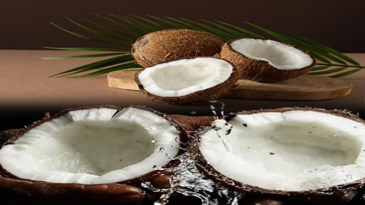 World Coconut Day: இன்னைக்கு தேங்காய் தினமா? இந்த கொண்டாட்டம் எதற்காக? வாங்க தெரிந்து கொள்வோம்..!