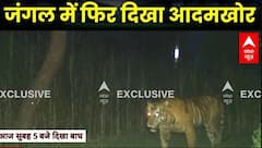 Lakhimpur Kheri Tiger: लखीमपुर में सुबह 5 बजे कैमरे में कैद हुई बाघ की तस्वीर | Breaking News