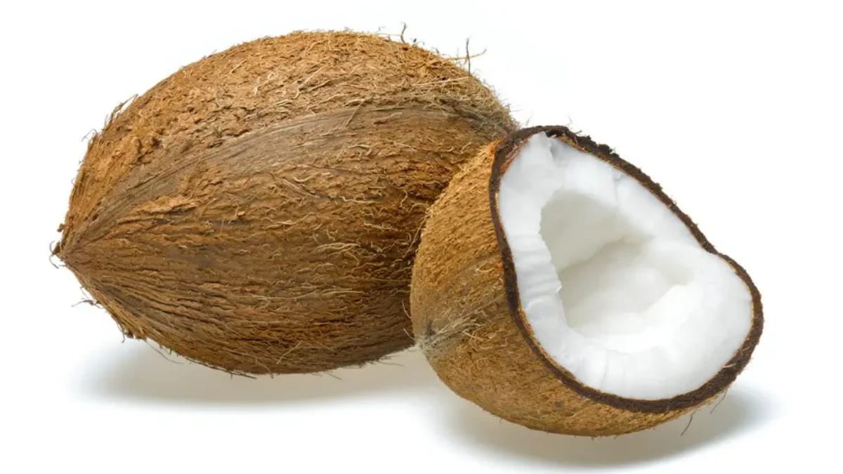 World Coconut Day: இன்னைக்கு தேங்காய் தினமா? இந்த கொண்டாட்டம் எதற்காக? வாங்க தெரிந்து கொள்வோம்..!