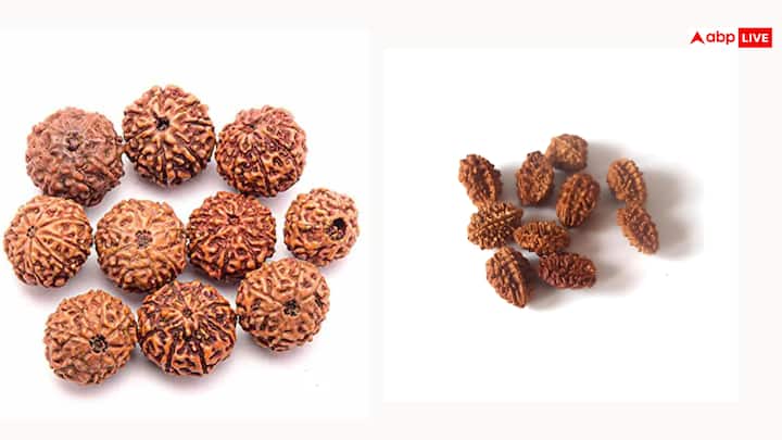 हिंदू धर्म में रुद्राक्ष(Rudraksha) और भद्राक्ष(Bhadraksha) दोनों का काफी महत्व है. मान्यताओं के मुताबिक रुद्राक्ष भगवान शिव(Lord Shiva) के आंसुओं से उत्पन्न हुई है, जबकि भद्राक्ष को मां भद्रकाली से जोड़कर देखा जाता है.