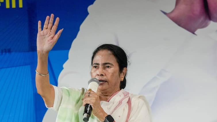 West Bengal CM Mamata Banerjee Makes Surprise Visit To RG Kar Protest Site addresses doctors says Here As Didi To Support' Mamata Takes 'RG Kar Justice Meeting' To Protest Site, Says 'Didi Here To Support Doctors'