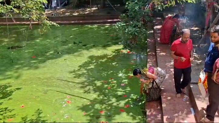 এ বছর মন্দির চত্বরে প্রচুর ভক্তদের সমাগম। তাই জাকজমকপূর্ণ ভাবে কৌশিকী অমাবস্যার পুজোর আয়োজন হয়েছে কঙ্কালীতলায়। 