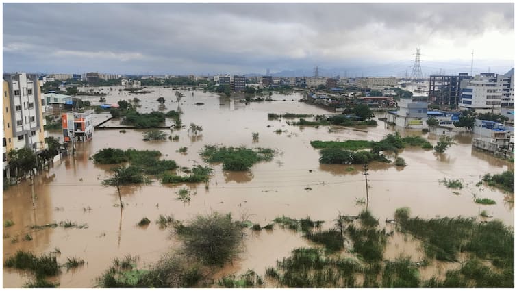 What is the cause of Budameru floods is it Human error or  Negligence of the government Vijayawada Flood: బెజవాడ దుఃఖదాయని బుడమేరు వరదలకు కారణమేంటీ? మానవ తప్పిదమా? ప్రభుత్వ నిర్లక్ష్యమా?