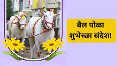 Bail Pola 2024 Wishes In Marathi : बैलपोळ्याच्या शेतकरी बांधवाला द्या खास शुभेच्छा; करा सर्जाराजाला नमन, पाठवा 'हे' शुभेच्छापर फोटो