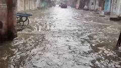 Rain: ડાંગના વઘઈમાં છ ઈંચ વરસાદ, આશ્રમ શાળામાં ભરાયા પાણી