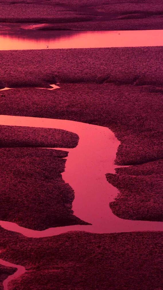 इस देश में बहती है खूनी नदी, जानें