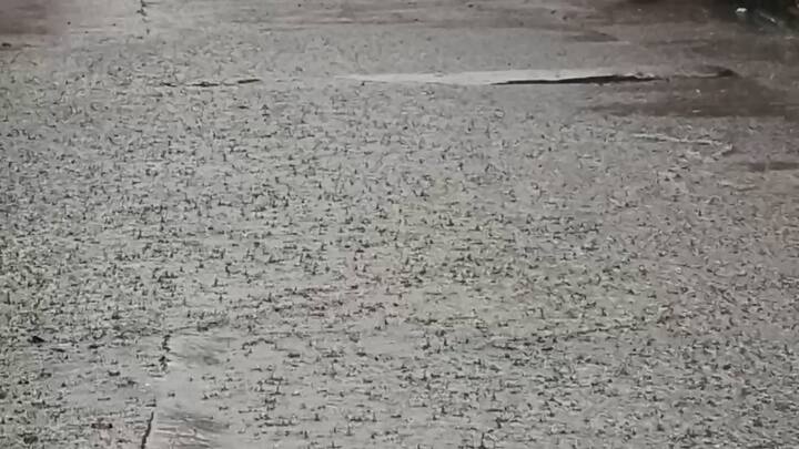 આજે છોટાઉદેપુર, નર્મદા અને સુરતમાં અતિભારે વરસાદને કારણે રેડ એલર્ટ જાહેર કરવામાં આવ્યું છે.