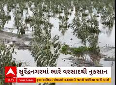 Surendranagar News | ભારે વરસાદ બાદ ખેતીવાડી વિભાગે પાક નુકસાની સર્વેની કામગીરી હાથ ધરી