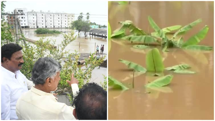 Chandra babu government has made a preliminary estimate that five lakh acres of crops have been damaged due to floods in Andhra Pradesh Andhra Pradesh: ఆంధ్రప్రదేశ్‌లో ఐదు లక్షల ఎకరాల్లో పంట నష్టం- ఆ రెండు జిల్లాల్లో భారీ విధ్వంసం