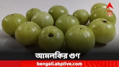 Amla Benefits: খালি পেটে খেয়ে নিন একটা আমলকি, গুণ জানলে চমকে যাবেন