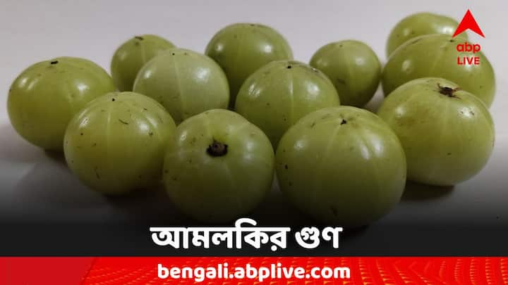 Lifestyle Tips: কেন খাবেন আমলকি, কী কী গুণ রয়েছে এতে?