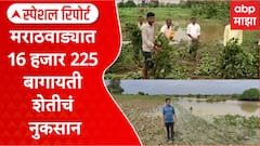 Marathwada Farming Special Report : 16 हजार 225 हेक्टर बागायती शेतीचं नुकसान