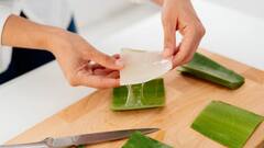 Hair Fall: ਵਾਲਾਂ ਦੇ ਝੜਨ ਦੀ ਸਮੱਸਿਆ ਤੋਂ ਹੋ ਪਰੇਸ਼ਾਨ, ਇਸ ਤਰ੍ਹਾਂ ਕਰੋ ਐਲੋਵੇਰਾ ਦੀ ਵਰਤੋਂ, ਮਿਲੇਗਾ ਗਜ਼ਬ ਫਾਈਦਾ