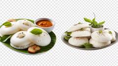 Pasi Paruppu Kara Idli : சத்து மிக்க பாசிப்பருப்பு கார இட்லி.. செய்முறை விளக்கம் இதோ!