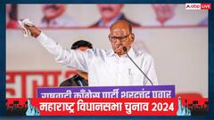 'हसन मुश्रीफ को बताएंगे उनकी जगह... इस नेता को देंगे बड़ा मौका', कागल में बोले शरद पवार