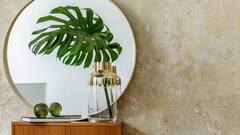 Vastu Tips : चुकूनही 'या' दिशेला लावू नका आरसा; ठरेल तुमच्या फुटक्या नशिबाचं कारण, गरिबीला मिळेल आमंत्रण