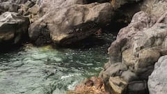 PHOTO: काय सांगता...! पृथ्वीच्या पोटात, तब्बल 643 किलोमीटर खोल सापडला भला मोठ्ठा महासागर