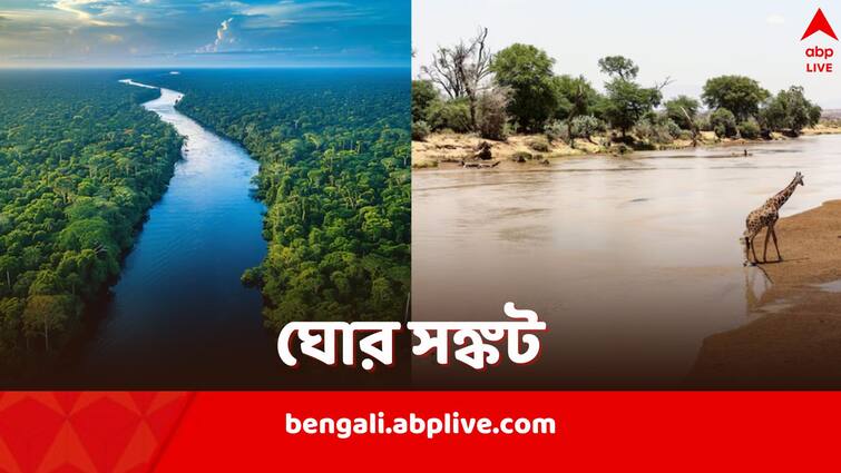 Amazon River is drying up prolonged drought and lack of rain affect locals Amazon River: অনাবৃষ্টির দোসর খরা, শুকিয়ে যাচ্ছে পৃথিবীর বৃহত্তম নদী আমাজন