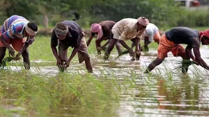 এই কিষাণ যোজনা প্রকল্পের মাধ্যমে বছরে ৬০০০ টাকা আর্থিক সহায়তা পান প্রকল্পে নথিভুক্ত সকল কৃষক।