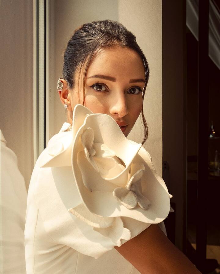 యానిమల్ తర్వాత త్రిప్తి ఏ మూవీలో నటించినా దానిపై ప్రేక్షకుల కాన్సన్ ట్రేషన్ పెరిగింది. రీసెంట్ గా విక్కీ కౌశల్‌‌‌‌‌‌‌‌కు జంటగా నటించిన బోల్డ్ మూవీ  బ్యాడ్‌న్యూస్ (Bad Newz). క‌ర‌ణ్ జోహార్  తెరకెక్కించిన ఈ మూవీలో విక్కీ కౌషల్, అమీ విర్క్ హీరోలుగా నటించారు.