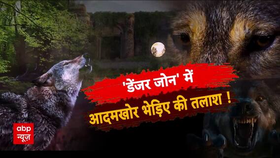 Wolf Attack: कैमरे में कैद खूनी भेड़िए का 'किला' ! Sansani