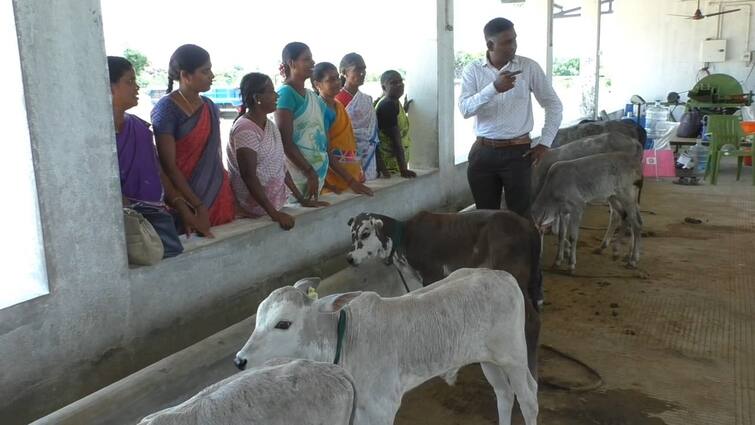 Researchers guide farmers to buy quality goats and chickens dharmapuri தர்மபுரியில் 8000 பேருக்கு கால்நடை வளர்ப்பு தொழில்நுட்ப பயிற்சி : அசத்தும் கால்நடை மருத்துவ பல்கலைக்கழக ஆராய்ச்சியாளர்கள்