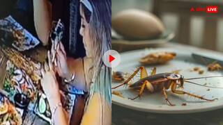 Video: पहले खुद खाने में डाला कॉकरोच, फिर रेस्टोरेंट को लगाया चूना- देखें वायरल वीडियो