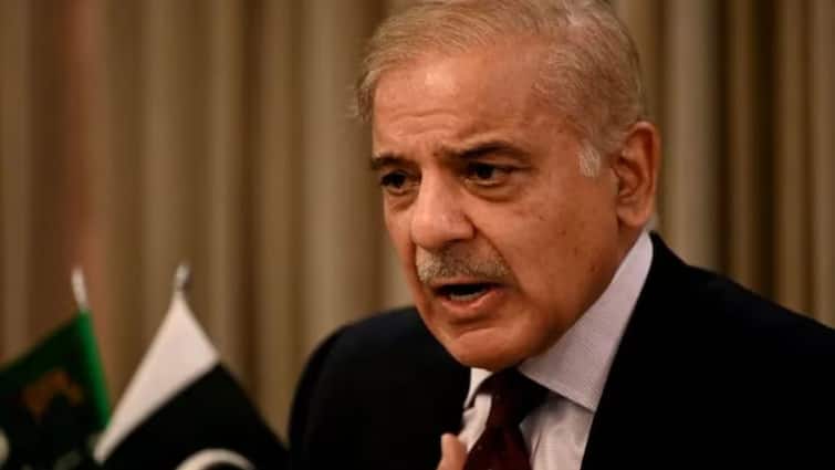 Shahbaz Sharif arbitrary order Government employees in Pakistan not able to use Social media sites Facebook Instagram पाकिस्तान में सरकारी कर्मचारी बिना इजाजत नहीं चला पाएंगे फेसबुक-इंस्टा, शहबाज सरकार का तुगलकी फरमान