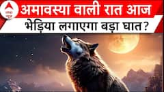 Bahraich Wolf Attack: 24 घंटे में तीन टारगेट...'गैंग ऑफ वुल्फ' फिर लौटेगी?
