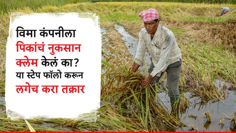 Rain damage apply crop insurance how to complain to the insurance company Check A to Z online complaint process here Crop insurance: पावसाने नुकसान झाल्यास, विमा कंपनीकडे कशी कराल तक्रार? ऑनलाइन तक्रारीची A to Z प्रक्रिया पहा इथे