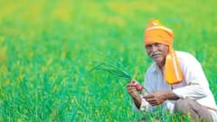 PM Kisan Yojana: কবে ঢুকবে কিষাণ যোজনার ১৮তম কিস্তির টাকা ? করে রাখতে হবে এই কাজ