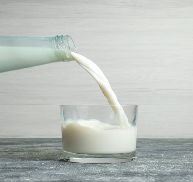 Milk Side Effects: ડોક્ટરોનું કહેવું છે કે, દૂધ પીવું સ્વાસ્થ્ય માટે ફાયદાકારક છે. પરંતુ જો સેચ્યુરેટેડ ફેટનું પ્રમાણ ઘણું વધારે હોય તો સાવધાન રહેવાની જરૂર છે. આવું દૂધ સ્વાસ્થ્ય માટે ઘણું નુકસાનકારક સાબિત થઈ શકે છે.