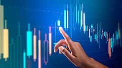 Multibagger Stocks: ২ বছরেই ৩৩ টাকার স্টক ৬০০ টাকায় ! বিপুল মুনাফা এই মাল্টিব্যাগারে