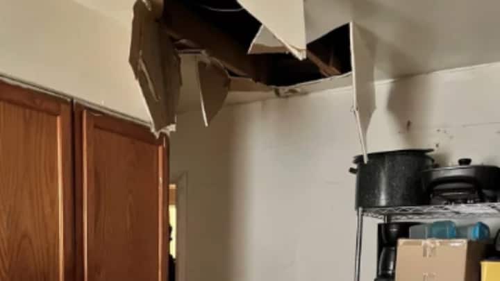 अमेरिका में अमेरिकी मार्शल ने एक हत्यारे को जिस घर में ट्रेस किया वो उसी घर की सीलिंग में जा छिपा, जिसके बाद सीलिंग उसका वजन ज्यादा देर झेल नहीं पाई और वो नीचे आ गिरा जिसके बाद उसे गिरफ्तार कर लिया गया.