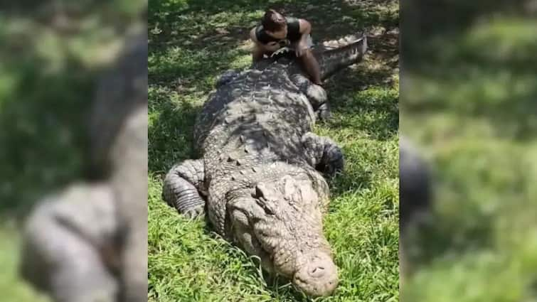 Meet Worlds Oldest Crocodile Henry Who Has 6 Wives And 10000 Babies image goes viral Oldest Crocodile: 6 மனைவிகள், 10,000 குழந்தைகள், ஒரு டன் எடை - உலகின் வயதான முதலை ஹென்றி, வாழ்நாள் சிறை