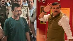 संजय सिंह ने दिल्ली हाई कोर्ट में दाखिल की याचिका, अरविंद केजरीवाल को लेकर क्या है मांग?