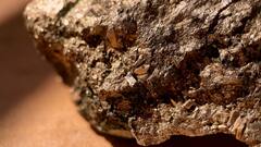 कैसे बनते हैं सोने के पत्थर? इस शोध में पता चल गया; दशकों से जवाब ढूंढ रहे थे वैज्ञानिक