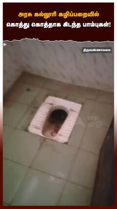 அரசு கல்லூரி கழிப்பறையில் கொத்து கொத்தாக கிடந்த பாம்புகள் !