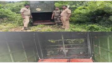 தென்காசி அருகே அச்சுறுத்தி வரும் சிறுத்தை..! 2 இடங்களில் கூண்டு வைத்து வனத்துறையினர் தீவிர கண்காணிப்பு..!
