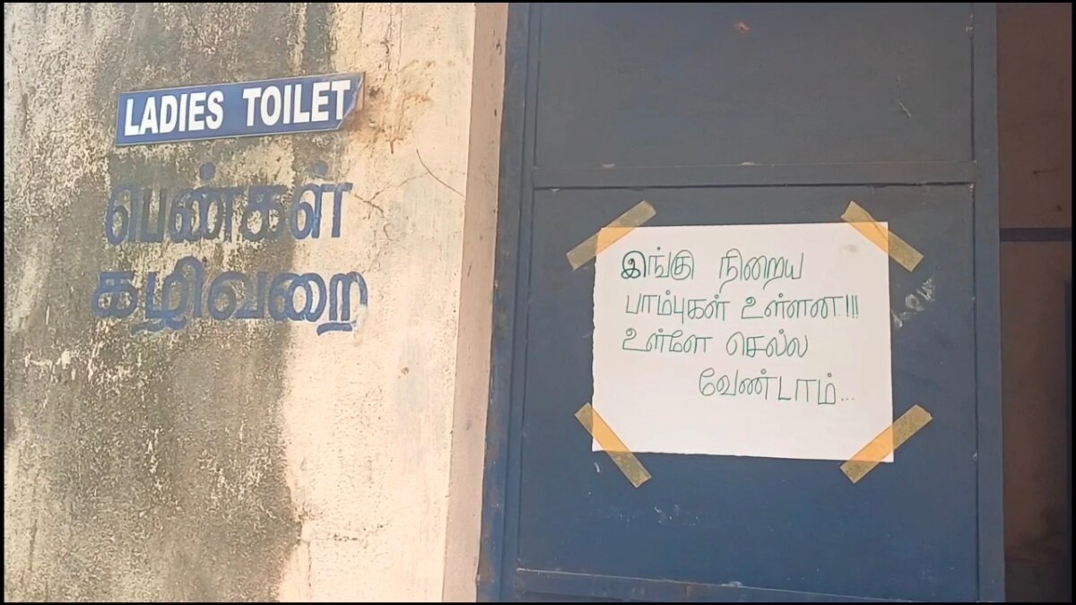 பெண்கள் கழிவறையில் இருந்த பாம்புகள் - அலறி அடித்து ஓடிய மாணவிகள்