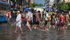 Weather Update : বুধবার কেমন আবহাওয়া থাকবে 'রাত দখলের' রাতে? আবহাওয়া দফতরের বড় ইঙ্গিত