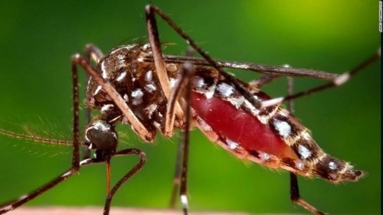 Karnataka Declares Dengue An Epidemic To Fine House Shop Owners know full details Dengue: அச்சுறுத்தும் டெங்கு! அலட்சியமா இருந்தா இனிமேல் அபராதம் மக்களே - எவ்வளவு?