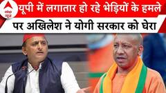 UP News: भेड़ियों के हमले को लेकर Akhilesh Yadav ने योगी सरकार पर उठाए सवाल | ABP News |